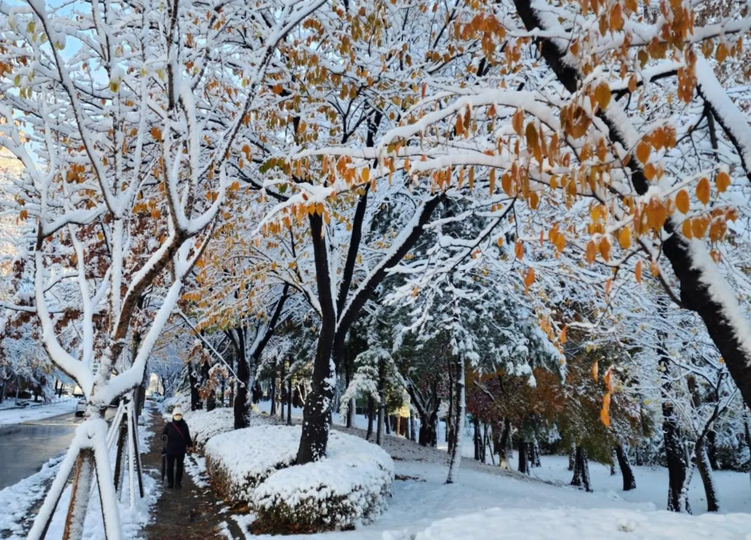 게스트하우스 Disco Pangpang Guesthouse 인천 대한민국